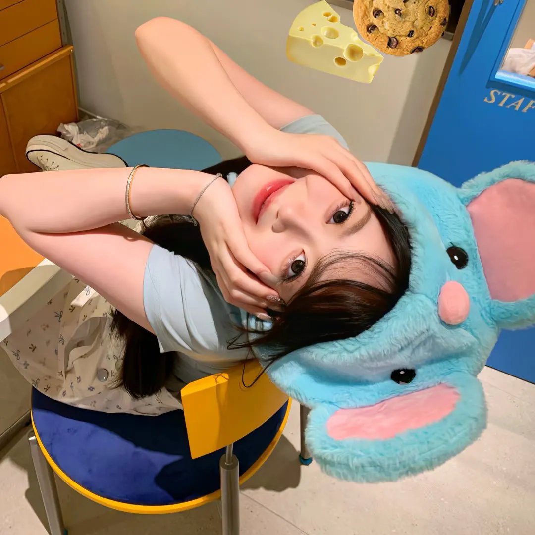 休赛期